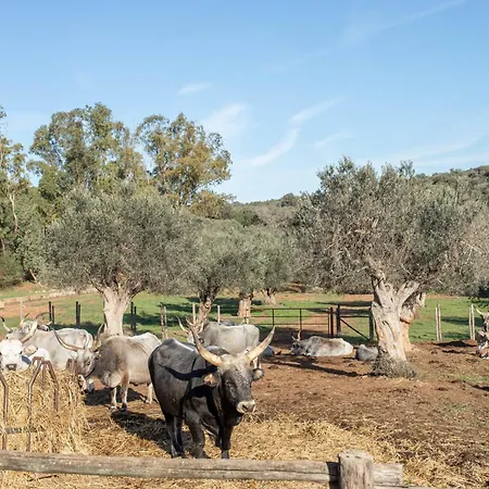 Alloggio per agriturismo Celestina- La Valentina *